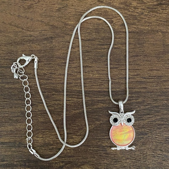 🦉 HOST PICK! 🦉Iridescent Owl Necklace on a Silver Chain - Picture 1 of 3